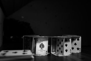 揭秘娱乐圈，八卦背后的真相与启示