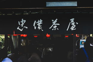 娱乐八卦背景图片大全，打造你的社交媒体视觉盛宴