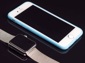 苹果iTunes使用指南：从下载安装到数据备份恢复，轻松管理你的苹果设备