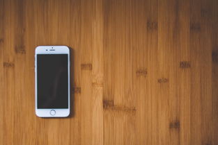 iPhone XR屏幕尺寸全解析：从参数到体验，帮你选对保护与维修方案