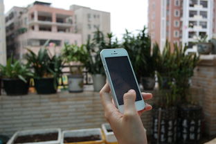 苹果6s和苹果7的区别全解析：帮你轻松选择更流畅耐用的iPhone