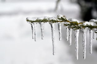 小雪时节如何御寒防病