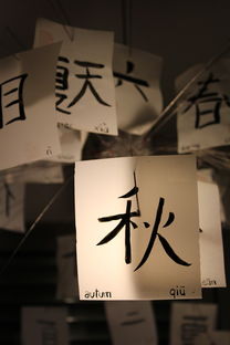 中日交涉中的立场与回应，中方不接受日方交涉已当场驳回