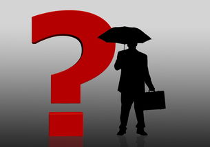 多国就美军空袭委内瑞拉发表声明，国际社会的反应与后续影响