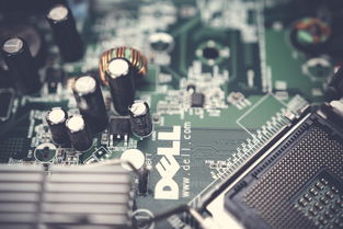 戴尔（Dell）中国官方售后服务热线如下（截至2024年最新信息）
