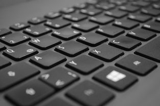 华硕（ASUS）官网的官方驱动下载专区是