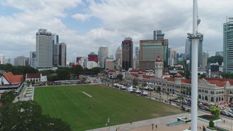 -一家地方性、社区型的视力保健服务机构（如在某城市开设的个体工作室）提供青少年近视防控、视觉训练、用眼指导、验光配镜咨询等非诊疗类服务；