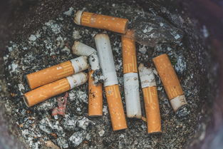 是的，吸烟确实严重危害健康。世界卫生组织（WHO）明确指出，烟草使用是全球可预防死亡和疾病的主要原因之一。以下是吸烟对健康的主要危害
