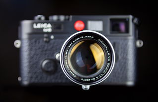 哈苏（Hasselblad）和徕卡（Leica）是两个定位不同、优势领域迥异的顶级影像品牌，不能简单地说哪个档次更高，而应从历史传承、技术路线、目标用户和使用场景来客观比较